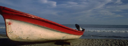 Image Swap